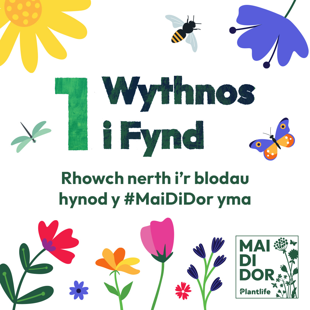 Beth am i ni roi nerth i’r blodau hynod ac ymuno â mudiad #MaiDiDor.🌸 

Dim ond 1 wythnos i fynd, pwy sydd wedi cyffroi?🙌 

👉 bit.ly/3vDbpPd

#NerthIrBlodauHynod #MaiDiDor2025