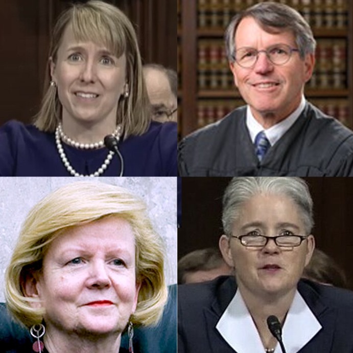 Libs of TikTok tweet media