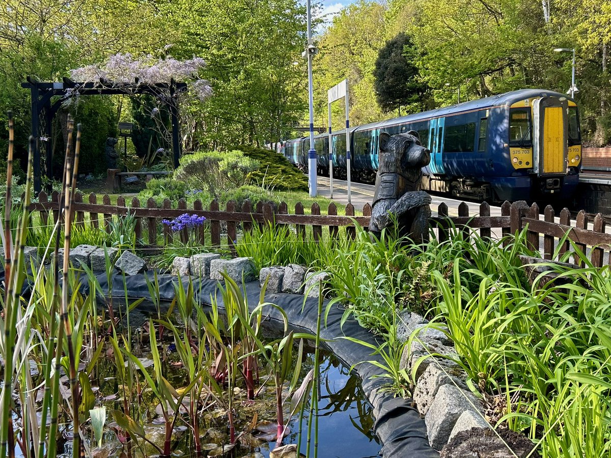 lukehouse313's tweet image. 375703 At Elmstead Woods With The Garden @Se_Railway