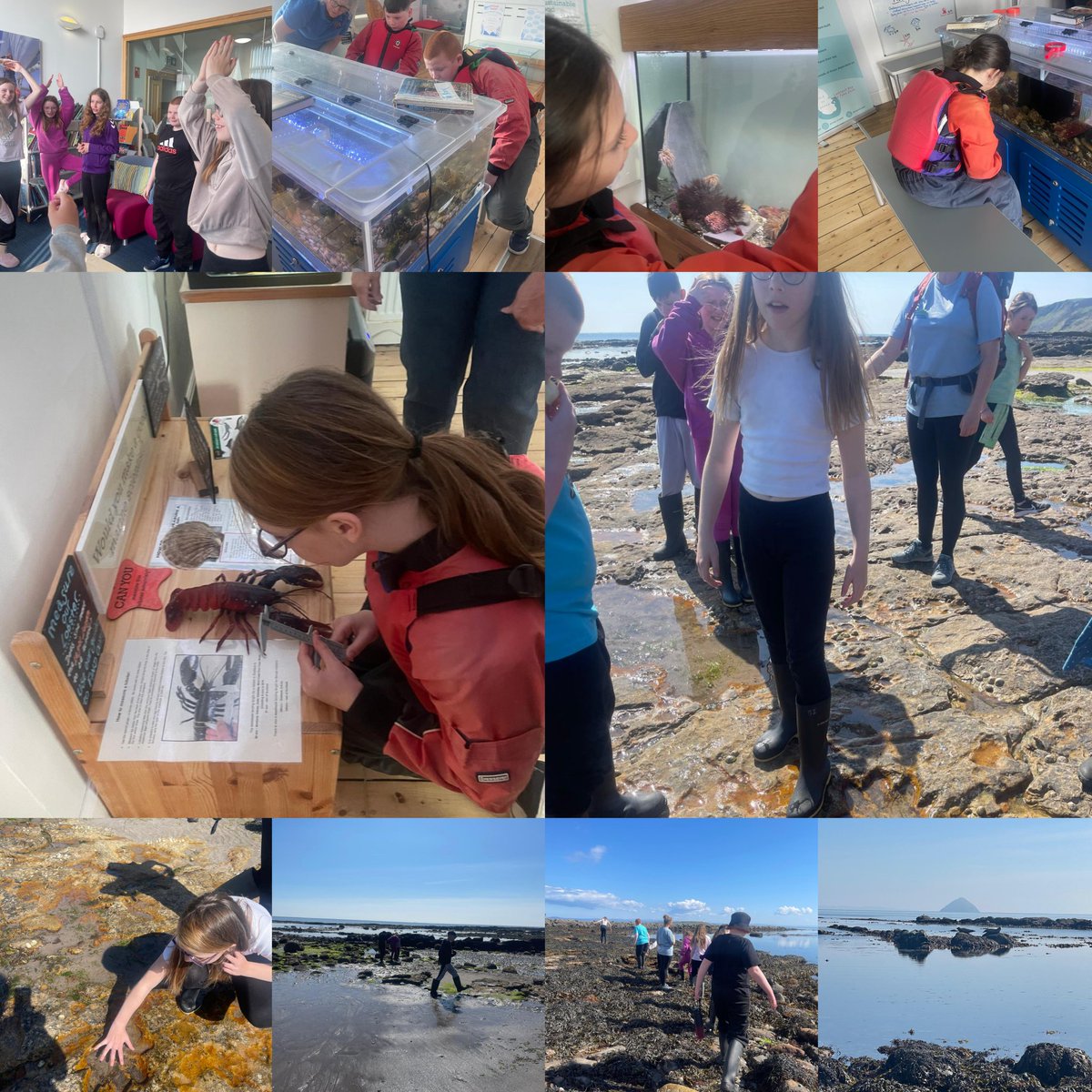Green Team had a great time at the Coast centre and down to see the seals after their Kayaking session. They all had a great day in the sunshine!