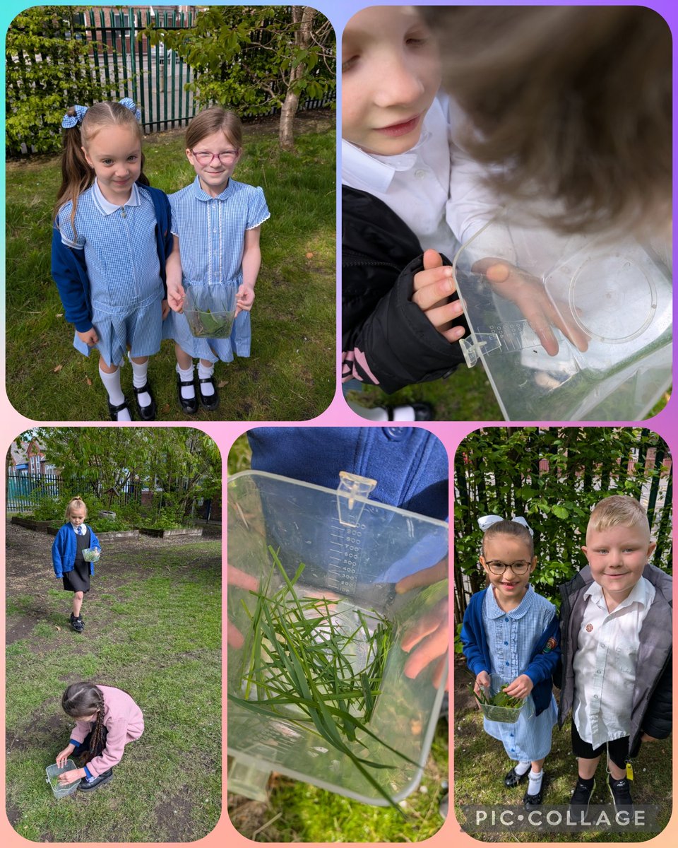 Year 2 loved their bug hunt yesterday! We found lots of interesting insects ready to move into our bug hotel!