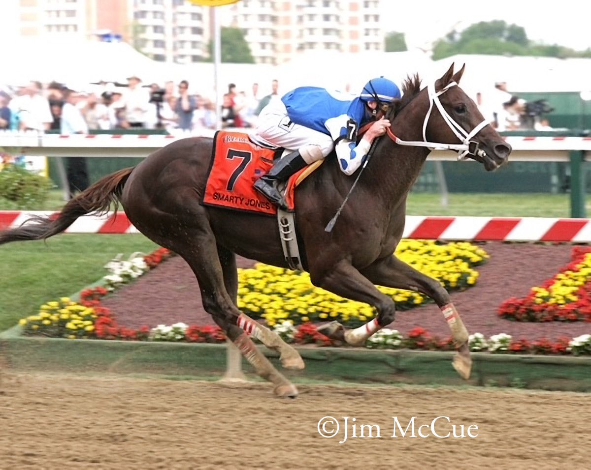Smarty Jones (Elusive Quality—I’ll Get Along, by Smile) bred in Pennsylvania by Someday Farm has been elected to the National Museum of Racing and Hall of Fame!

Owned by Roy and Pat Chapman, Smarty Jones was trained by John C. Servis and ridden exclusively by Stewart Elliott.