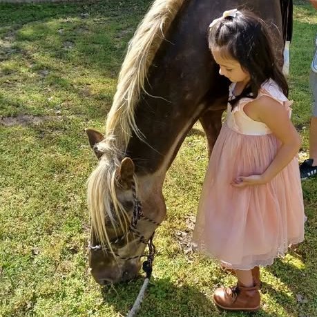 Diegoranchinc's tweet image. Here is Ranger helping out with @MakeAWish  . This little girl melted over Ranger. Help us keep these events going by making a gift to our program.  givesendgo.com/diegoranch