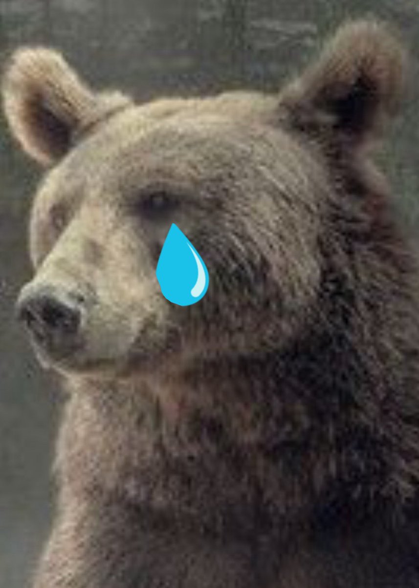 triphib's tweet image. Bears fans did not look excited