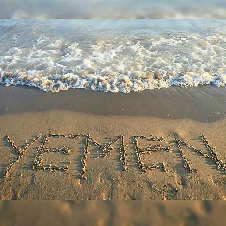 Voice of Yemen 🇾🇪🇵🇸 tweet media