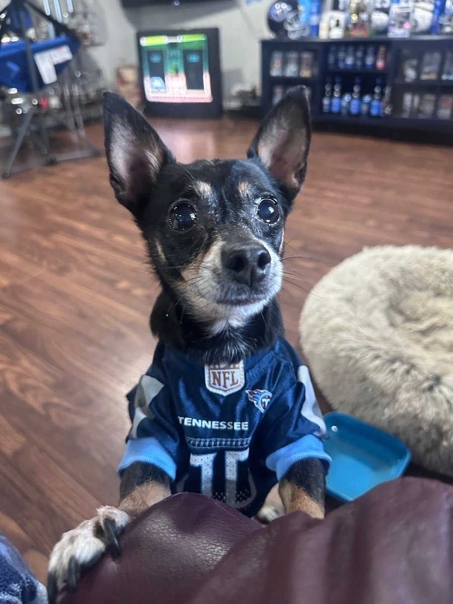 Reese loves the pick. <a href="/Titans/">Tennessee Titans</a>