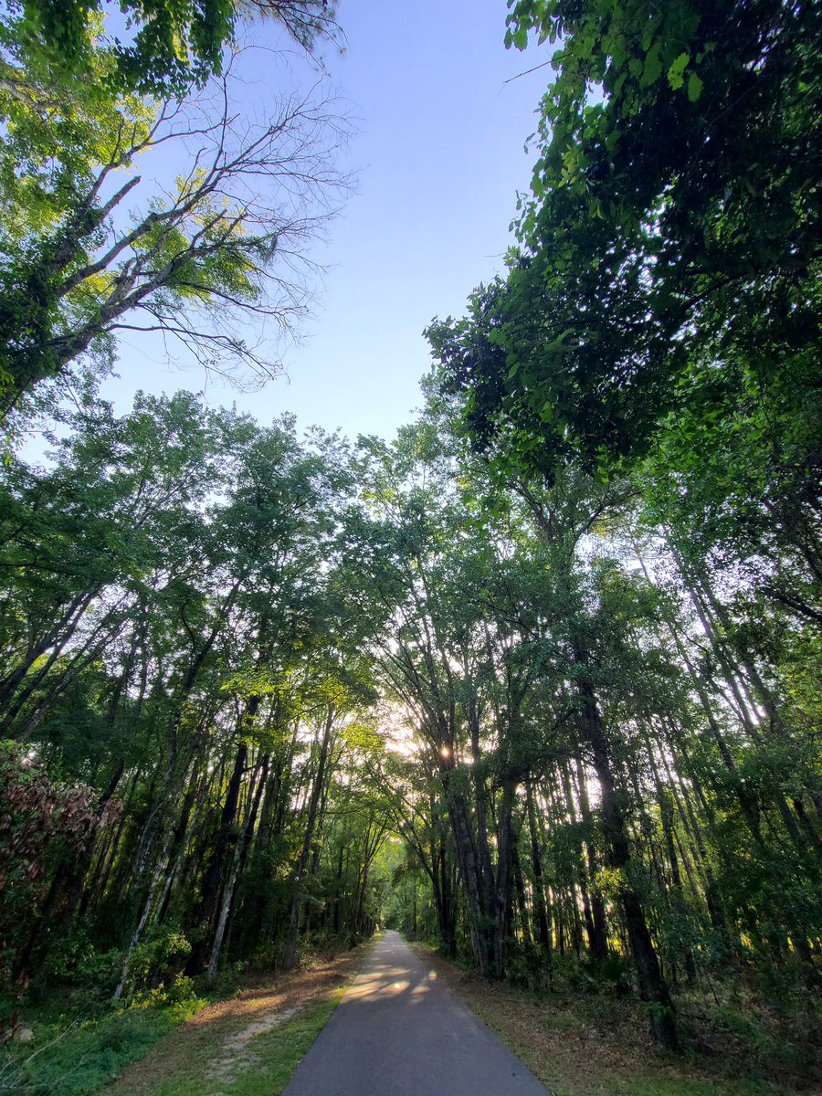 mgtapp's tweet image. Every day is #EarthDay #railstotrails #nature