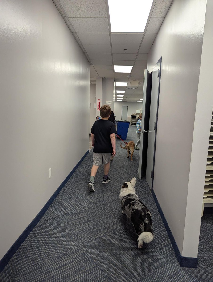 We took our kids to work today! And our dogs, too. Did we mention there were donuts? 🐾🍩