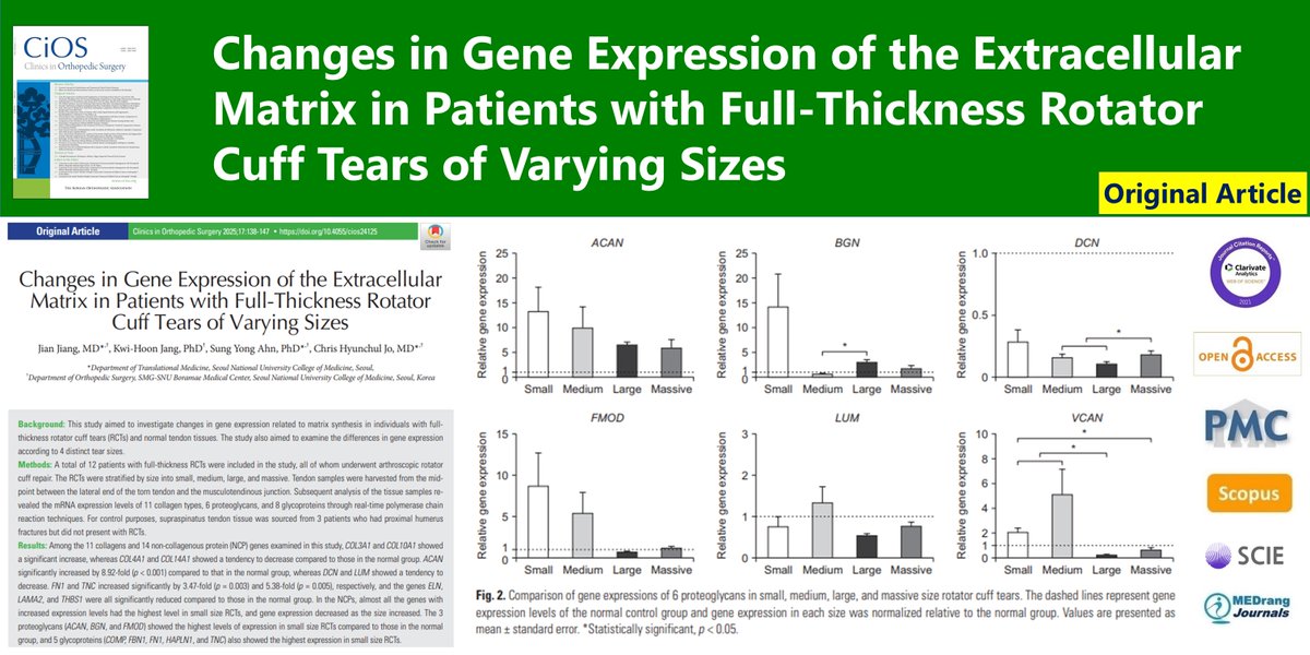Changes in Gene Expression of the Extracellular Matrix in Patients with Full-Thickness Rotator Cuff Tears of Varying Sizes
🌷doi.org/10.4055/cios24…
2025 Feb;17(1)Jian Jiang
#Rotator_cuff_tear #Extracellular_matrix #Non_collagenous_protein #Gene_expression #Tear_size