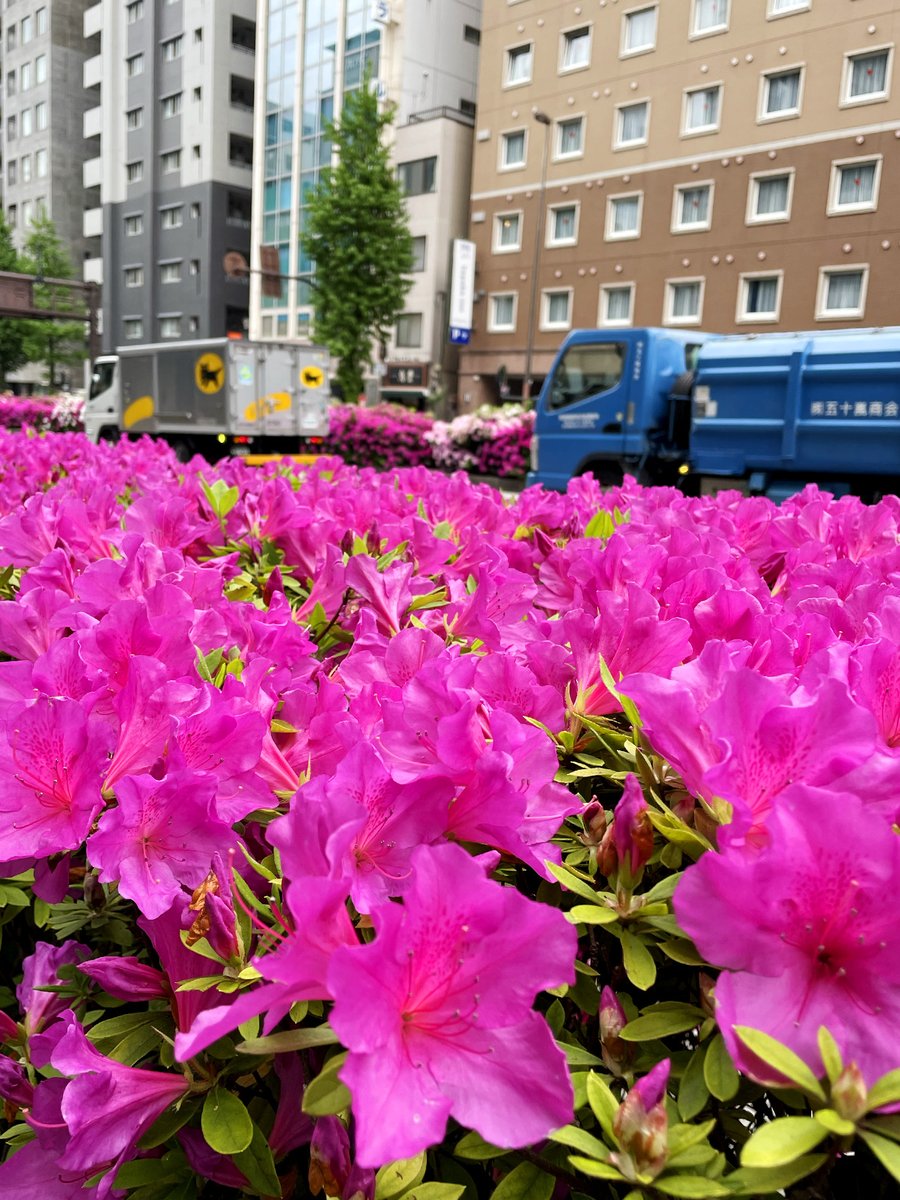 office_sugimoto's tweet photo. おはようございます。東京 #浅草橋 は☁️。
今週ラスト営業日、取引先の中には明日から11連休のところもあるようです。
弊社はカレンダー通りの営業となりますが、充実のGWを迎えられるようがんばっていきましょ〜！
本日もよろしくお願いします‼️

#企業公式が毎朝地元の��気を言い合う https://t.co/SP6JgmUxuS