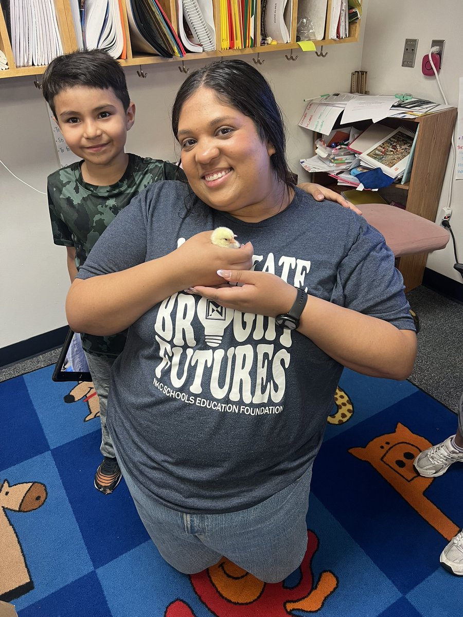 missksutton's tweet image. We got to watch the chicks hatch on Earth Day and then they came to visit🐣@ToppingBulldogs