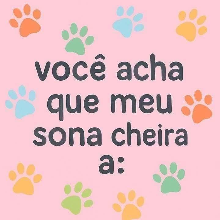 RainWolf (Commissions Open 4/5) tweet media