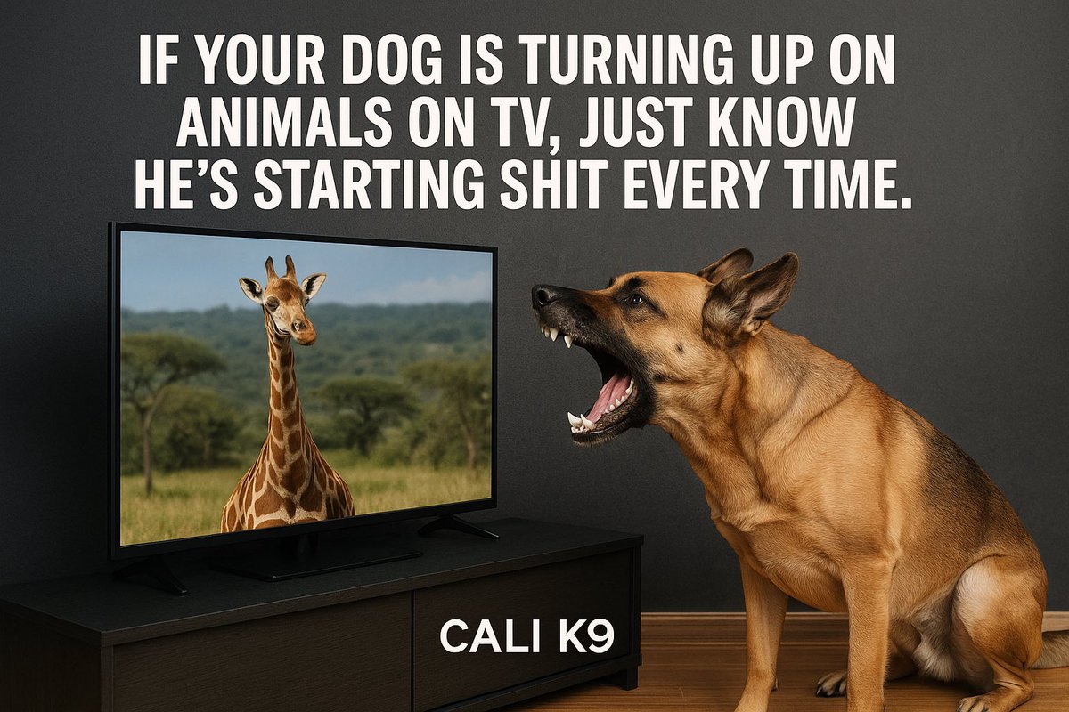 Jas Leverette • Cali K9 tweet media