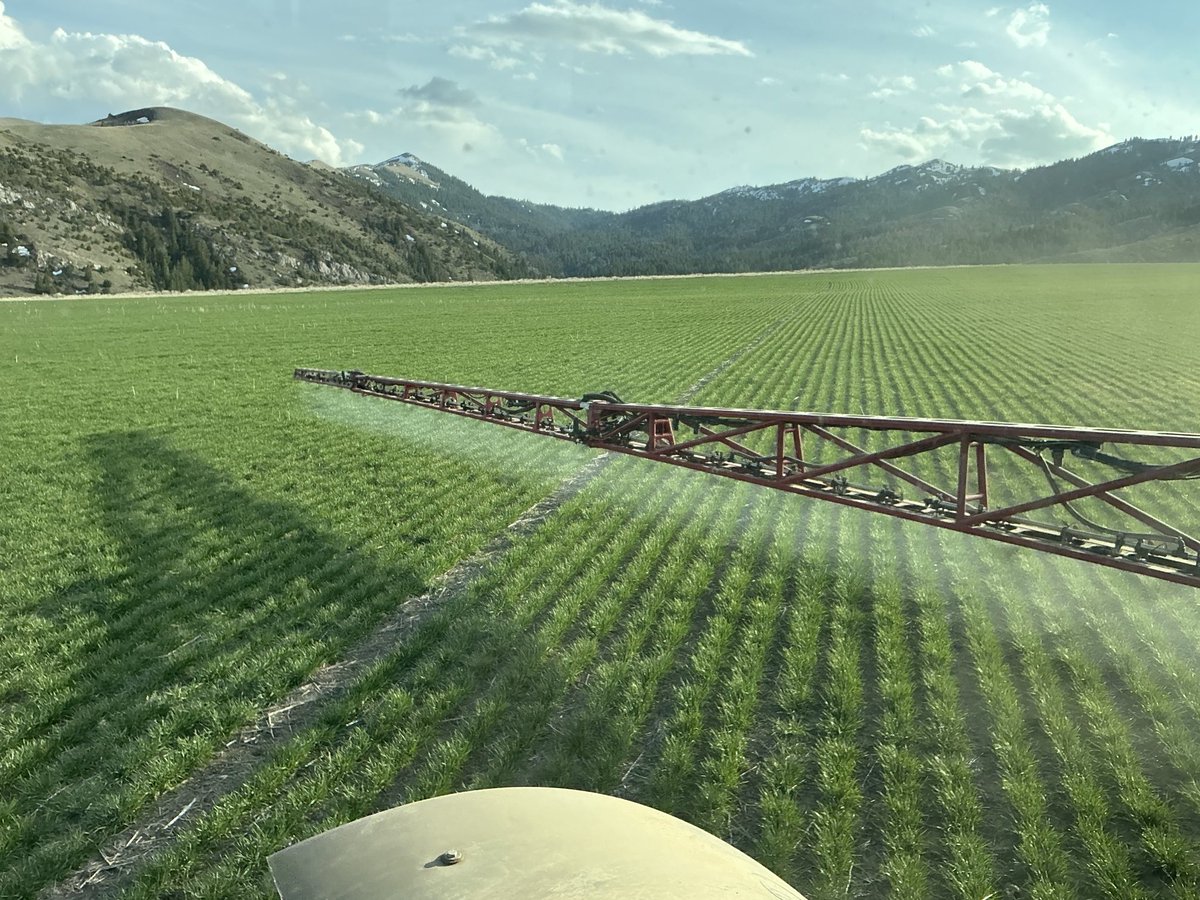 dustfrmer's tweet image. Low sun makes for the best spray pattern checking