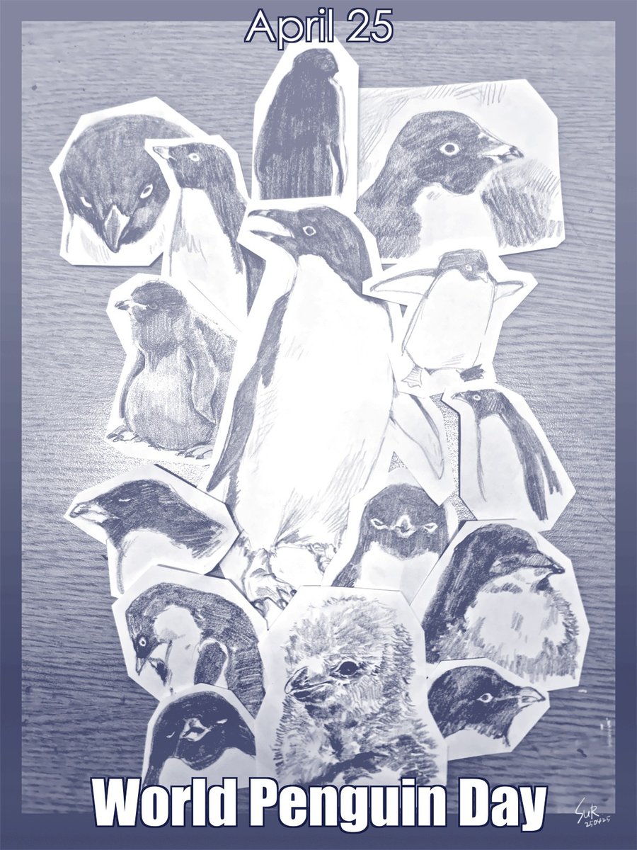 ~오늘은 세계 펭귄의 날~
5님의 커미션(!) 덕분에 펭귄들을 잔뜩 그릴 수 있었어요😂
아델리들의 서식지가 조금이라도 더 오래 유지될 수 있도록 기후 변화와 자연 환경에 많은 관심 부탁드립니다...!