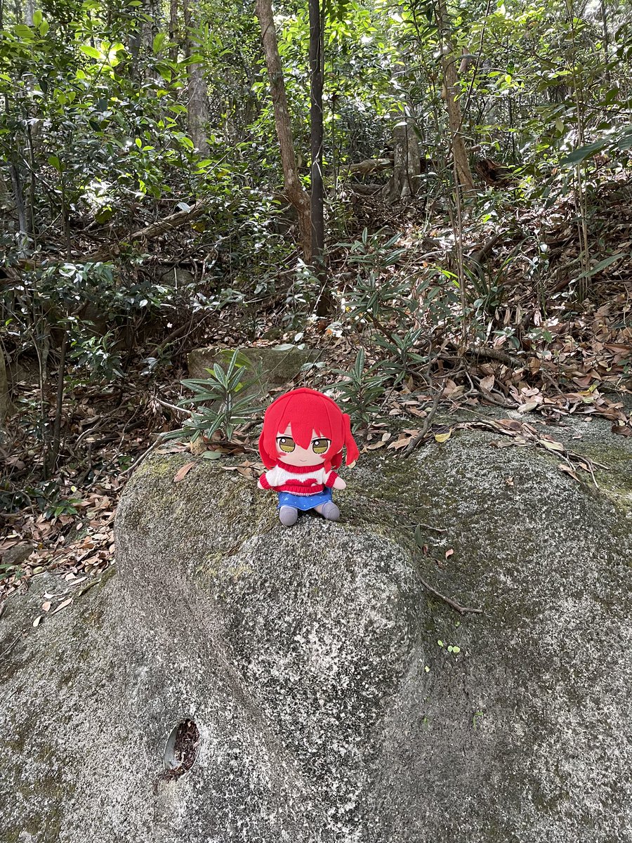 yokogashapon's tweet photo. Come back later, busy rock climbing 🙈😂#otaku #project  #kawaii #anime #girl #plushiecommunity #plushielife #plushies #plushie #plush #animegirl #photoshoot #naturephotography #nature #climbing #daily #memes #adventure #meme #photography #photo #goodvibes #animeedits #life https://t.co/mzzUyTHP84