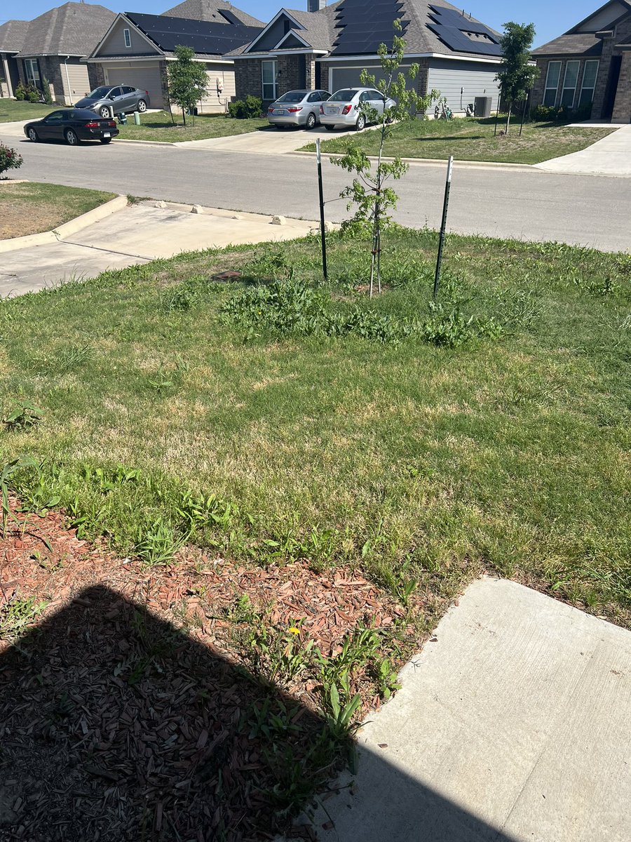tkuhn1919's tweet photo. New job. New house. New yard.
Not gunning for MVP—but CPOTY has a nice ring.
Let’s get to work.
#ComebackSzn #YardGameStrong @OutKickTNML @Timmy2Cuts513 @coachbradford9 
🏈✂️🏆 https://t.co/93aoTxCsmE