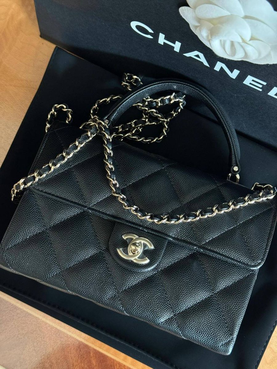 Ellie (@alicekatycat) on Twitter photo 