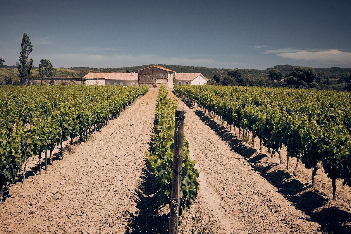 A Private Tasting of Domaine d'Aussières – Reserve Your Spot - mailchi.mp/127525b10e34/a…