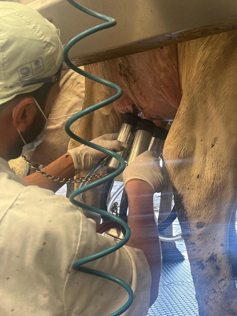 🌍 Strengthening Agribusiness Ties: Kenya &amp; Saudi Arabia

KNCCI continues to champion strategic global partnerships, and our recent visit to Almarai—Saudi Arabia’s leading dairy and food processing company—highlighted immense opportunities for Kenya’s agribusiness sector.

🇸🇦 The