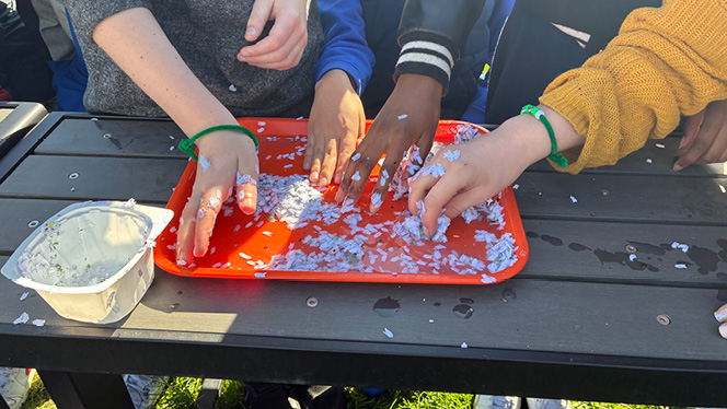 SouthCantonSCA's tweet photo. South Canton Scholars celebrated their first Earth Day Extravaganza with hands-on activities like crafting bird feeders, planting wildflower seed balls, and a recycling relay.
Discover how students are learning to care for the planet: https://t.co/05rjfiRkVp
#SouthCantonScholars https://t.co/v1MES4GxjX
