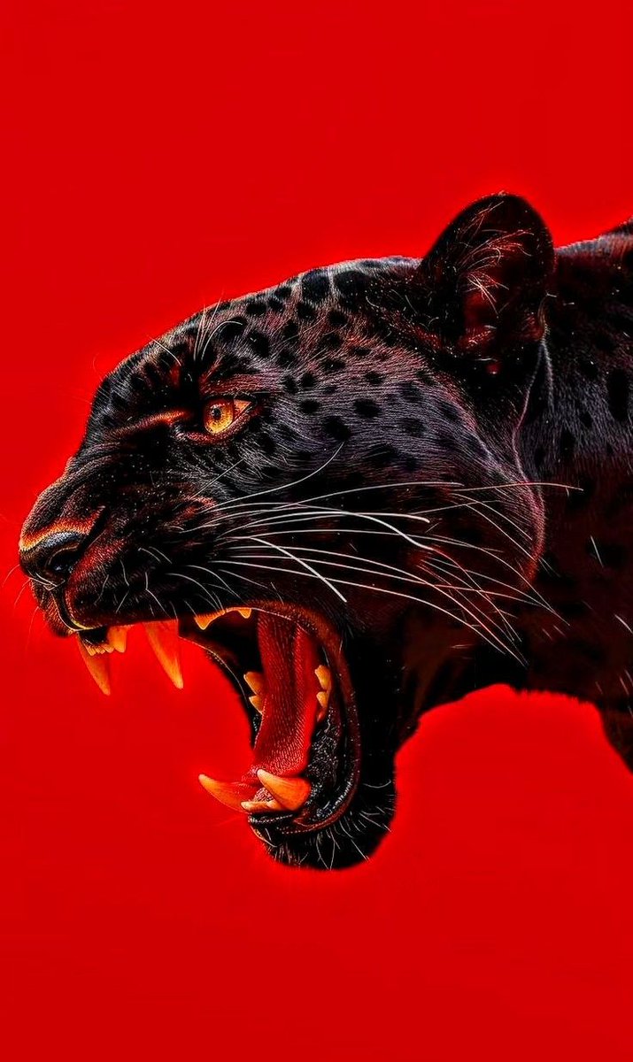 𝖆𝖗𝖙𝖟~𝖓𝖔𝖜 (@artznow_) on Twitter photo 