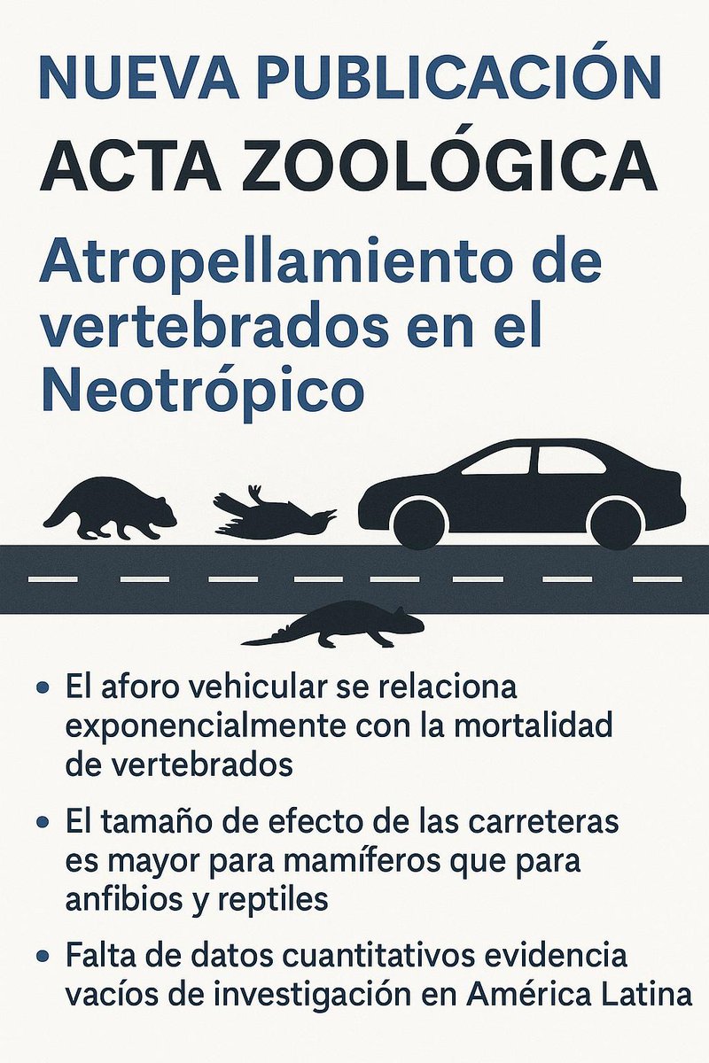 Hicimos una revisión sistemática con metaanálisis sobre atropellamiento de vertebrados en el Neotrópico. researchgate.net/publication/39…
¿Cuáles son los factores más importantes? ¿Qué especies son las más afectadas?
Aquí los hallazgos👇