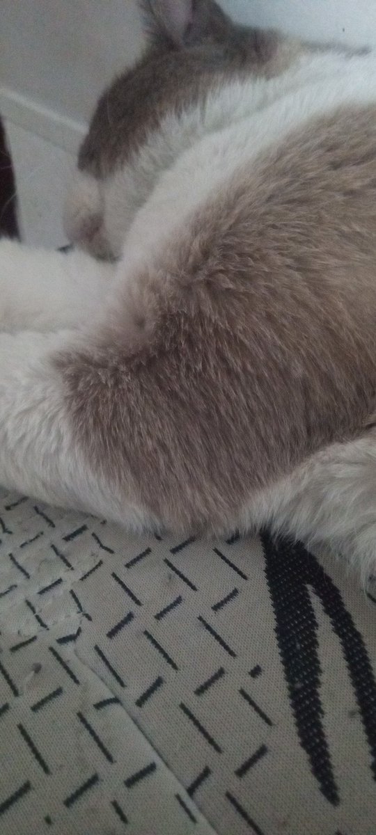 TiempoPago's tweet photo. Nappy time https://t.co/VSjZR4KCxX