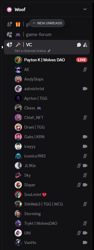Day 1 in the new discord is a vibe.

Don't be shy, come by and say WOOF!

Web3 gaming is inevitable. 🐺