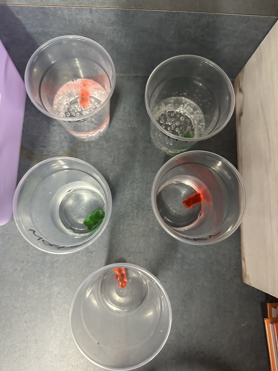 MsPoteat14's tweet image. Experiment Day! 👩‍🔬🧪 @RTEFlightStatus @RichlandTwo
