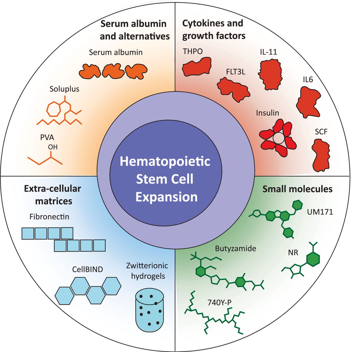 This week on #SimplyBlood 🩸 we're highlighting articles in the ExpHem Special Issue: New Culture Methods in Experimental Hematology from guest editor Kristina Kirschner. Read the highlights on simplyblood.org.