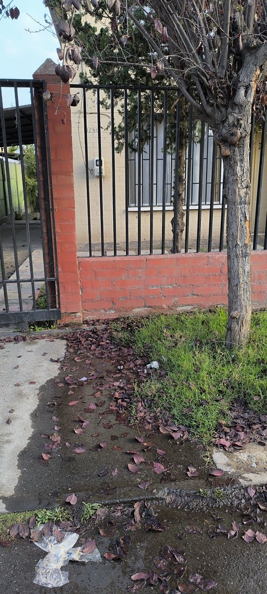 kayser29's tweet photo. Sres. @essbio rotura de arranque al parecer en #rancagua pasaje flamboyan 1286 lleva días corriendo el agua en el sector alcalde @ragliatim y sr @Eduardo_Soto_R https://t.co/VlwhvmAqhf