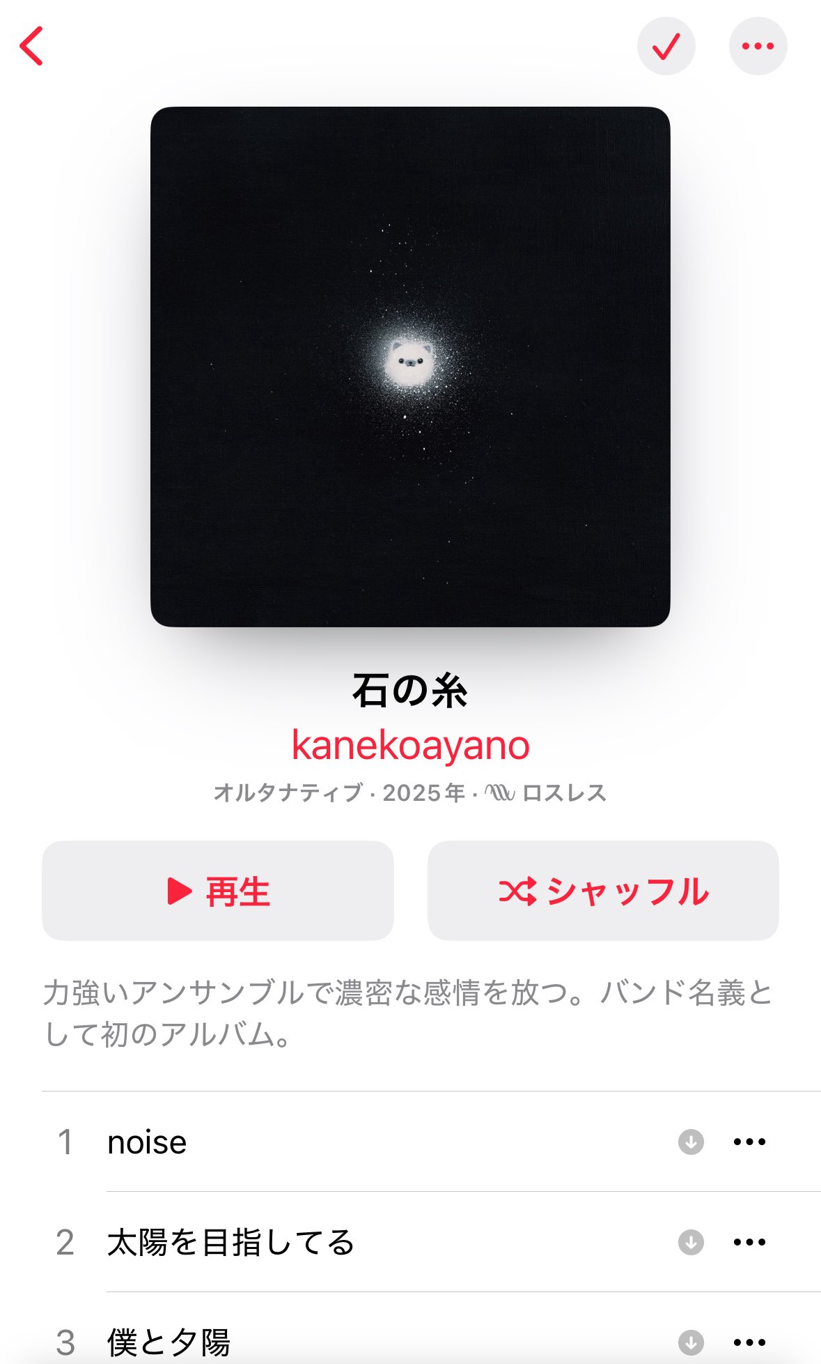 ランキング第1位 アベシュンスケ on  X: ピアス