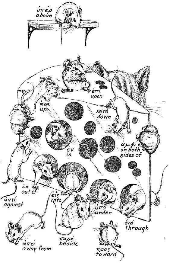 A mouse-based overview of Ancient Greek prepositions.