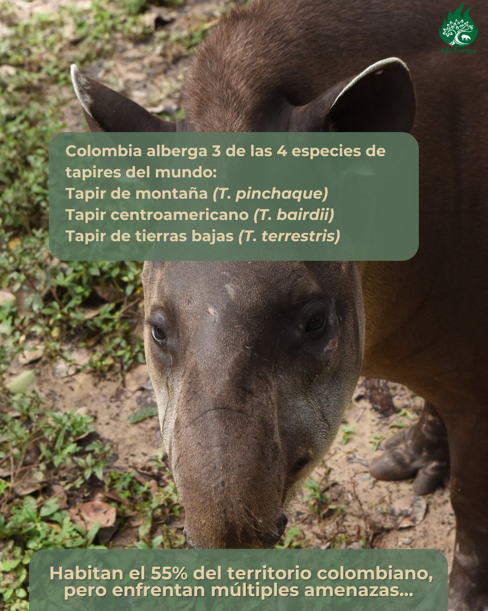 Ecolmod_UN tweet media