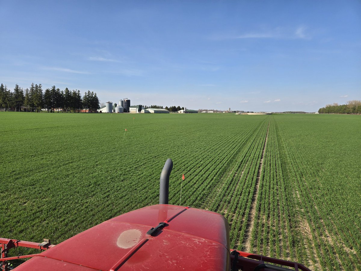 Josh Boersen (@joshboersen) on Twitter photo Winter was a bit hard on the #wheat on the farm, but the <a href="/GreatLakesYEN/">Great Lakes Yield Enhancement Network</a> plot is flagged out and we're ready for #grow25 with the warm weather kicking it off!
Thanks <a href="/WheatPete/">Peter Johnson</a> for the assistance!
Second shot of N today. Winter was a bit hard on the #wheat on the farm, but the <a href="/GreatLakesYEN/">Great Lakes Yield Enhancement Network</a> plot is flagged out and we're ready for #grow25 with the warm weather kicking it off!
Thanks <a href="/WheatPete/">Peter Johnson</a> for the assistance!
Second shot of N today.