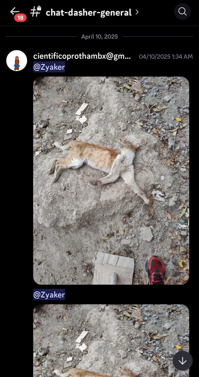 Donei RC tweet media