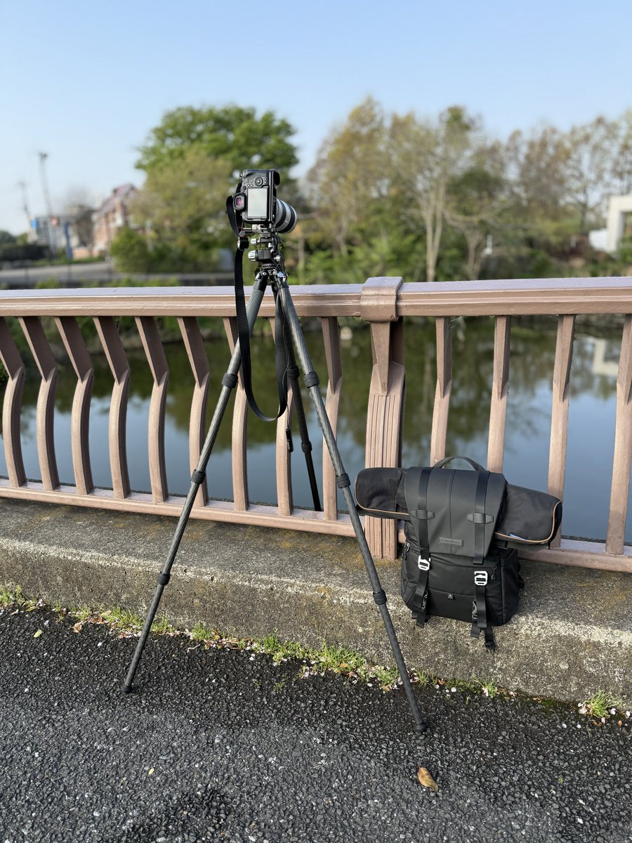 TAKCX301's tweet photo. 少し前に新調した三脚
安定性抜群で使っていて安心できる優れ物でした👍🏼✨
#leofoto
#ls324c https://t.co/eKfREYm0zT