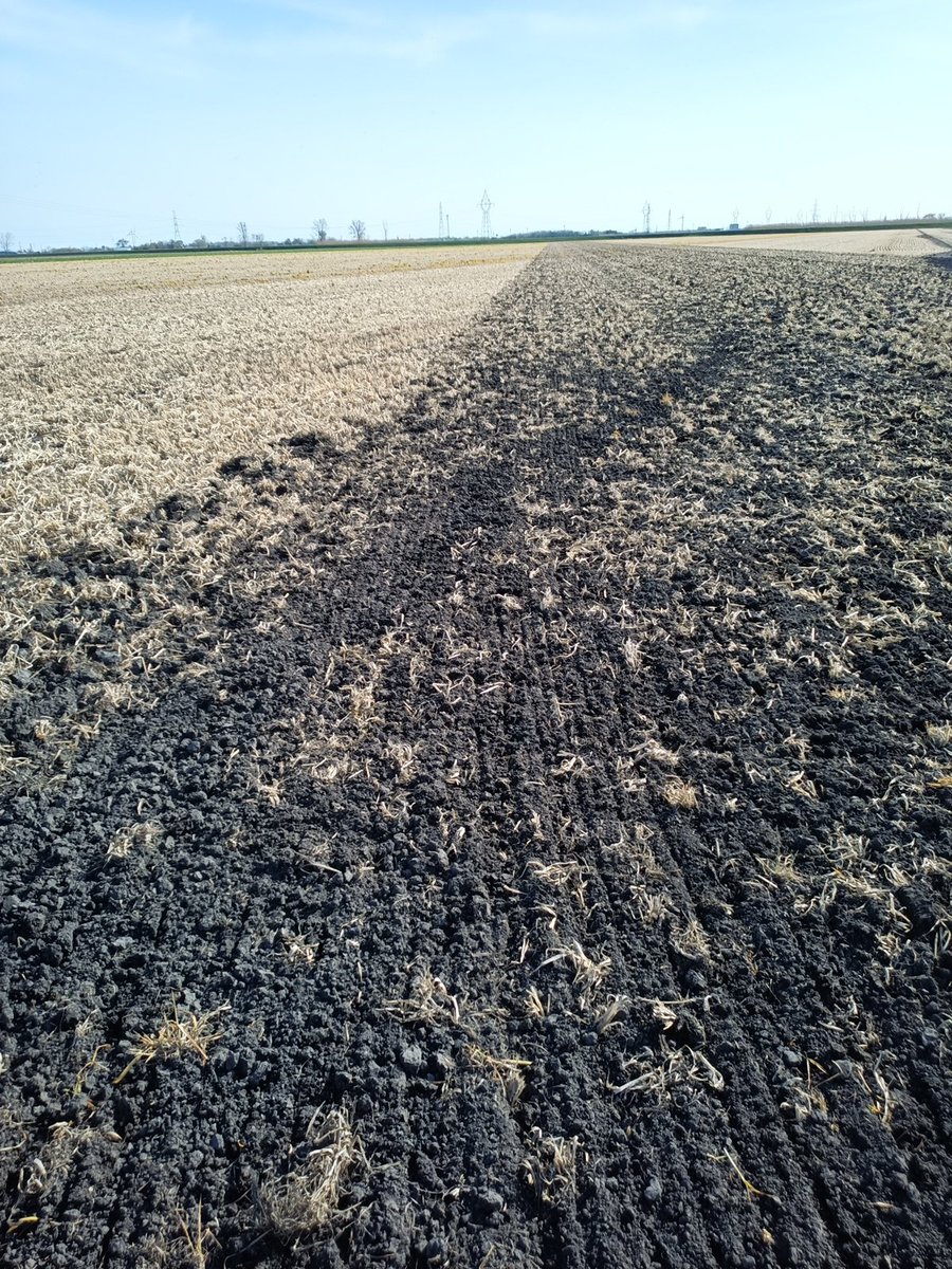 Tried working some ground today, close but still a bit wet.