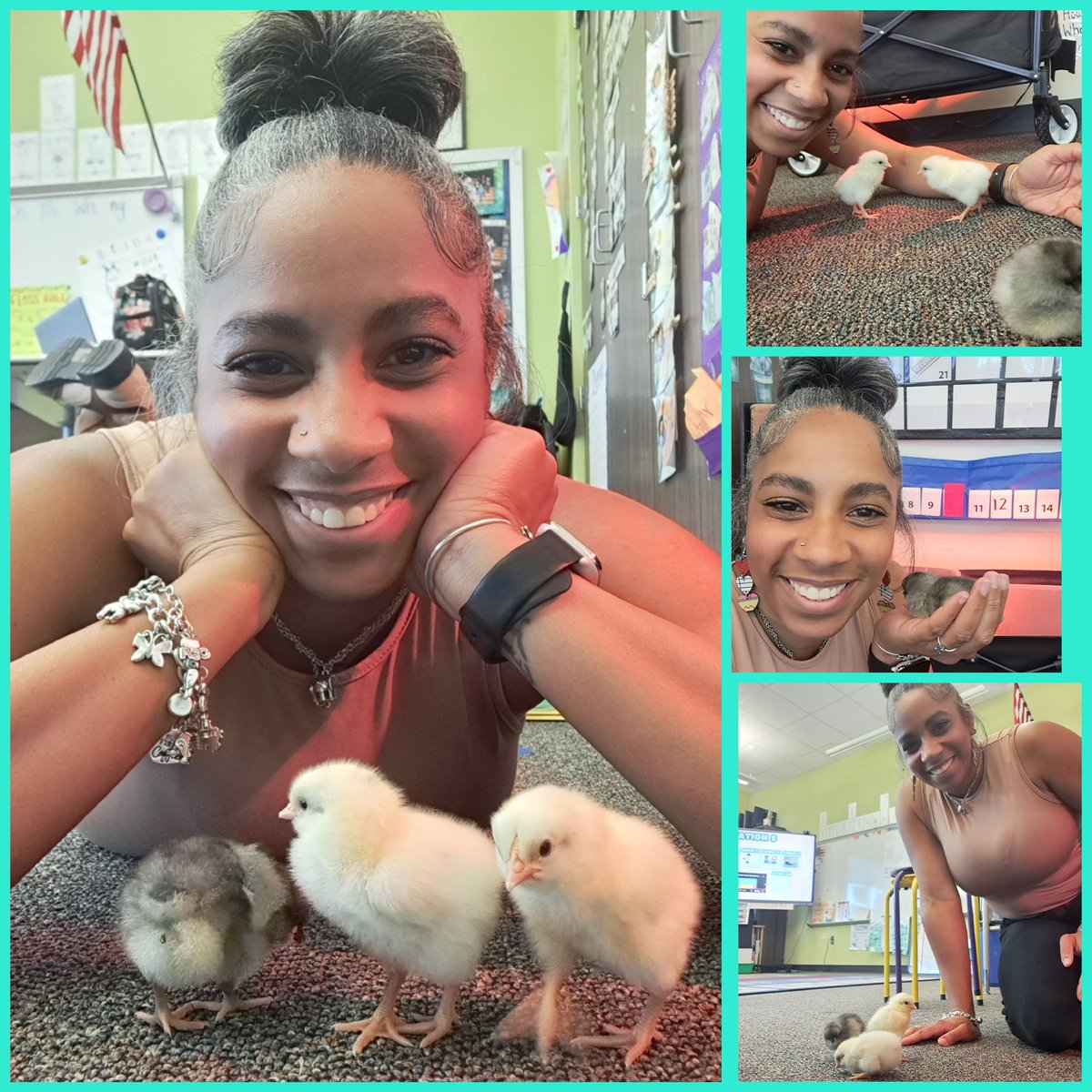 Olivia Eastland (@eastland_olivia) on Twitter photo <a href="/MsLogan2311/">Dawn Logan</a> Thank you for letting us chicksit! OF COURSE- I had to have a photo opp with Leo, Josephine, and Roxy! <a href="/HumbleISD_RCE/">Ridge Creek Elem</a> <a href="/PtaRidge/">Ridge Creek PTA</a> #CubCommUNITY #AllinAtRCE <a href="/MsLogan2311/">Dawn Logan</a> Thank you for letting us chicksit! OF COURSE- I had to have a photo opp with Leo, Josephine, and Roxy! <a href="/HumbleISD_RCE/">Ridge Creek Elem</a> <a href="/PtaRidge/">Ridge Creek PTA</a> #CubCommUNITY #AllinAtRCE