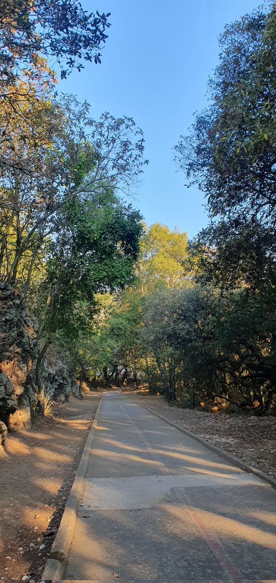 Chazaam3's tweet photo. Seguimos acumulando km al corazón y al Alma con él favor de DIOS y mi Padre desdé él cielo  🕊 🙏🏼 ☝🏼 🐢🏃🏻‍♂️🦖🏃🏻🦖 #CiclopistaPichachoAjuscocdmx🇲🇽  #MaratonCDMXTelcel2025 bendiciones para tod@s ustedes de corazón 🕊 🙏🏼 https://t.co/0thgLE9OcC