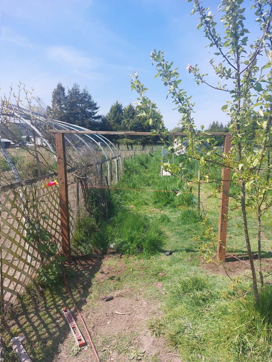 NearlyNormalNow's tweet image. Beginning of the new orchard fence.