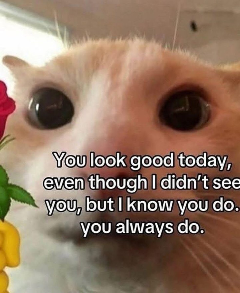 Respectful Memes (@respectfulmemes) on Twitter photo 