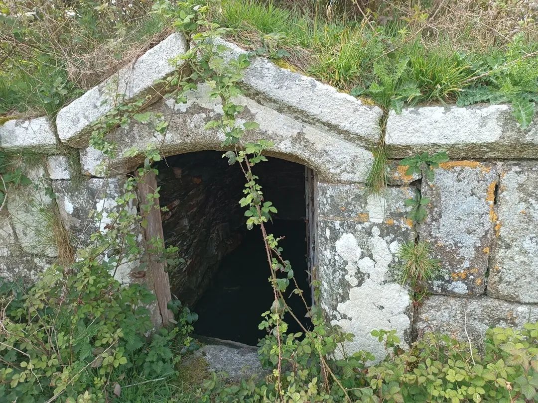 GhostCatcherELH's tweet image. Tucked behind the church in a quiet field, St David’s Holy Well still flows today. Steeped in history, it feeds the Davidstow Creamery—home of Davidstow &amp;amp; Cathedral City cheese. A hidden gem of Cornwall.
#Davidstow #HolyWell #Cornwall