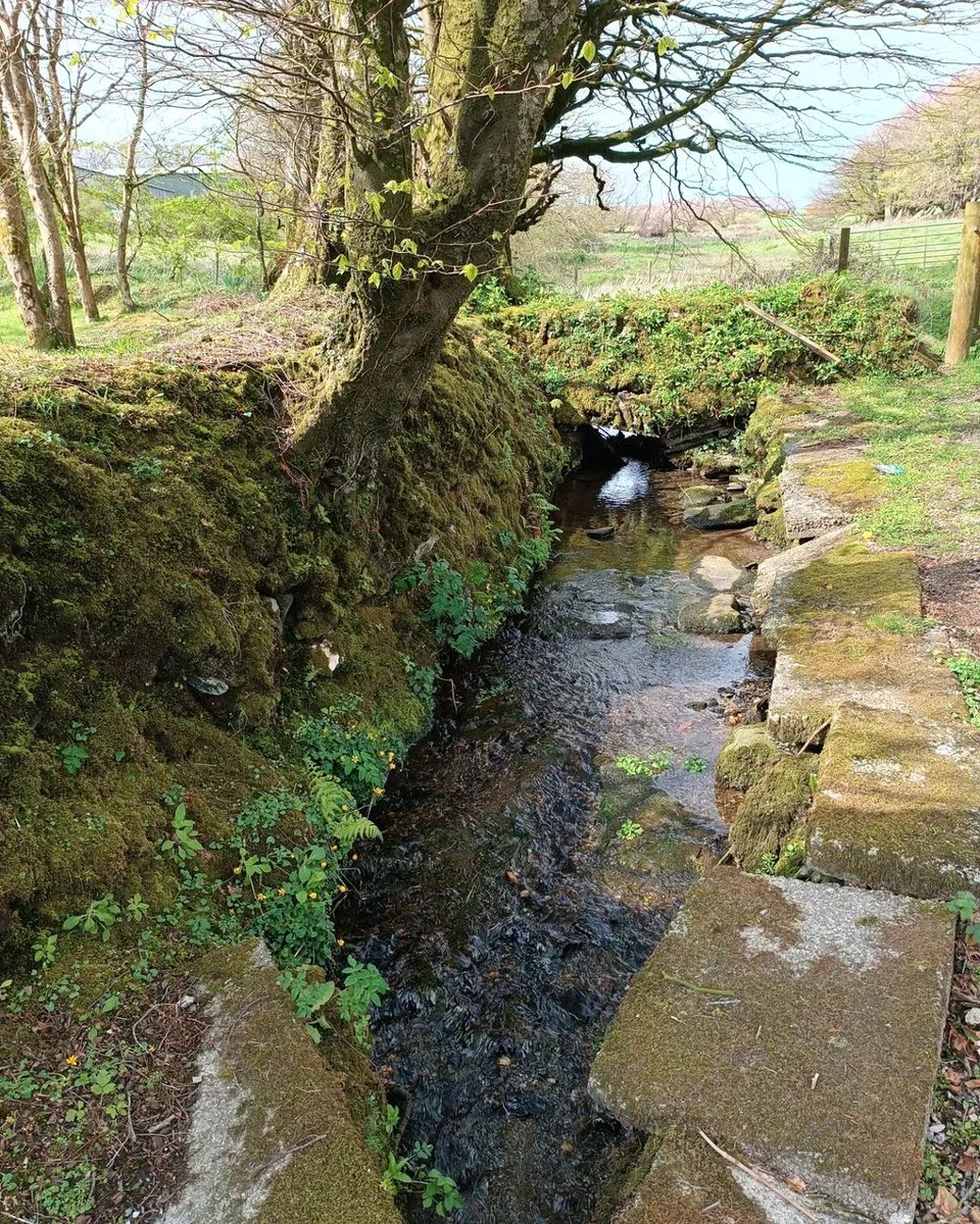 GhostCatcherELH's tweet image. Tucked behind the church in a quiet field, St David’s Holy Well still flows today. Steeped in history, it feeds the Davidstow Creamery—home of Davidstow &amp;amp; Cathedral City cheese. A hidden gem of Cornwall.
#Davidstow #HolyWell #Cornwall