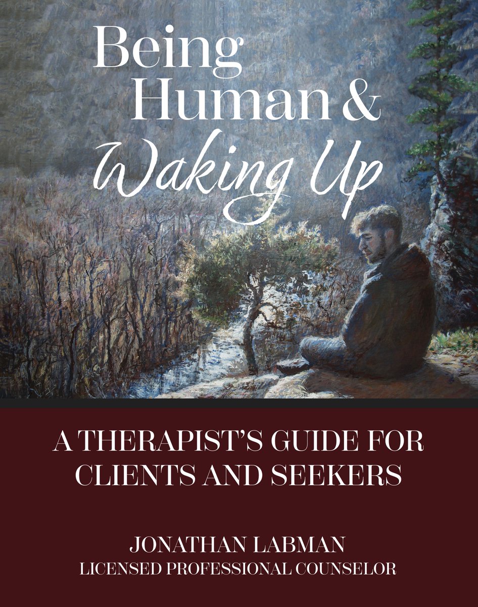 JonathanLabman's tweet image. This is my life's work, a guide to being a human being and waking up spiritually out of the Matrix.  Buy it here:
 a.co/d/01EQLJdU