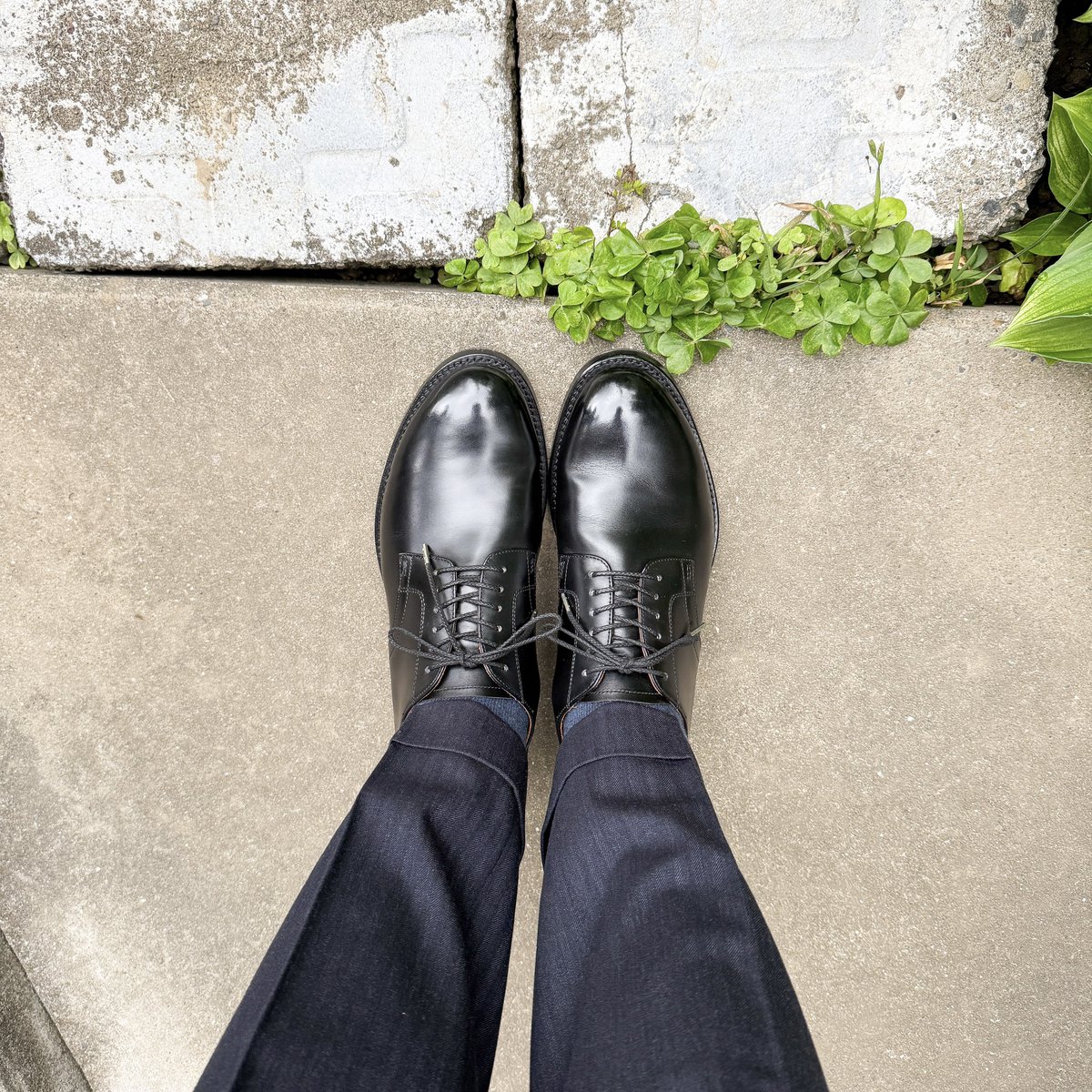 sthkzn's tweet image. Brother Bridge
Foremost with kutsu-en
STAYGOLD WWII

昨日より雲が厚い。雨が降りそうな雰囲気でちょっと心配。
今日は午後半休取る予定です。

#brotherbridge #foremost #kutsuen #shoes #mensshoes #ブラザーブリッジ #フォアモスト #靴縁 #紳士靴 #革靴 #sotd #shoesoftheday #今日の足元