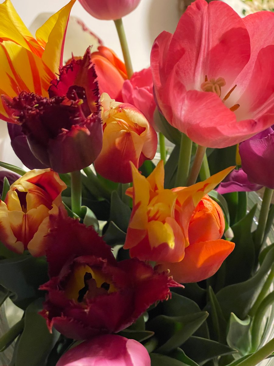 Liebe💜💛♥️🩷🧡