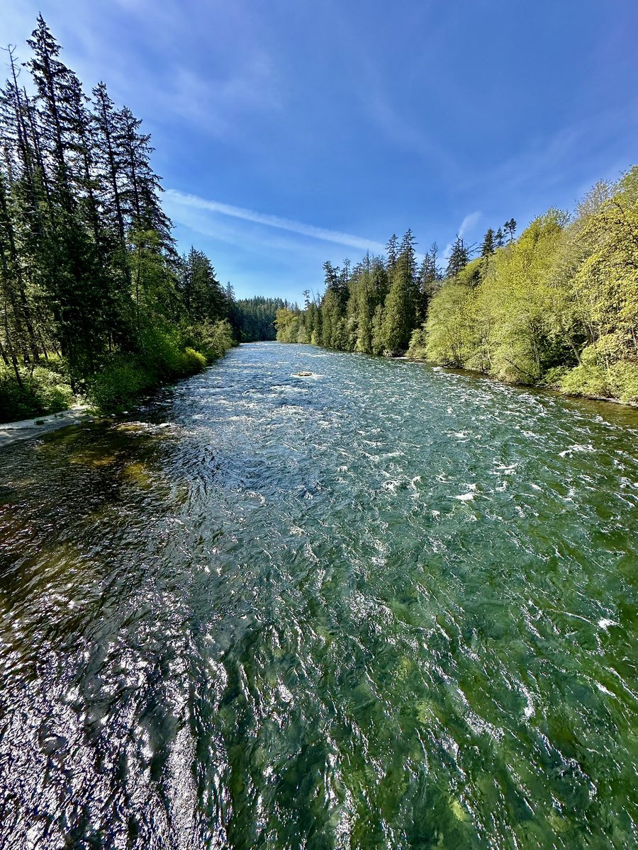 A nice spring view today of the #CampbellRiver. Deciduous leaves coming in. 

I’ll be at City Council later today to provide an update on our three dam safety upgrade projects and our operations.