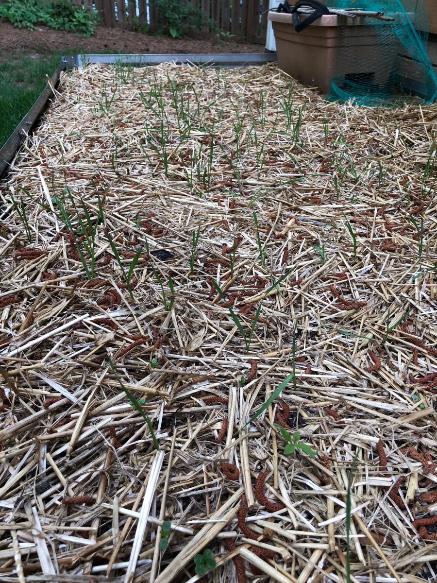 Kelsey Oswalt tweet media